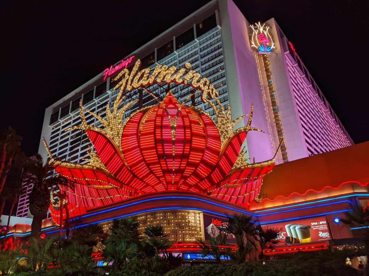 Flamingo Las Vegas Flamingo Room Review